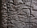 Close-up photo of a tree trunk eaten by insects, Vilches, Chile.