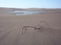 Emptiness:  An image of a dried branch protruding from sand, Putu dunes, Chile.