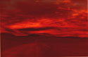 Martianscape:  An image of a road which goes from Panamericana Highway to Salar de Pajonales at sunset in very red tones, Chile.