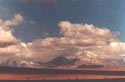 Simplemente Atacama:  An image of mountain scenery with guanacos grazing near the Salar de Atacama, Chile.