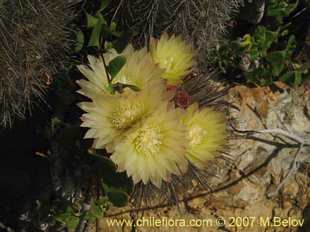 See more details and purchase options...