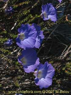 See more details and purchase options...