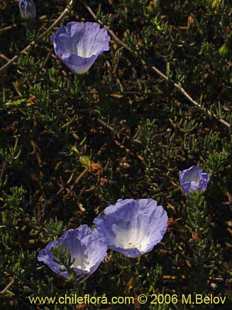 See more details and purchase options...