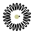 백색, 꽃잎 14장이상, 국화과(Asteraceae) 보함