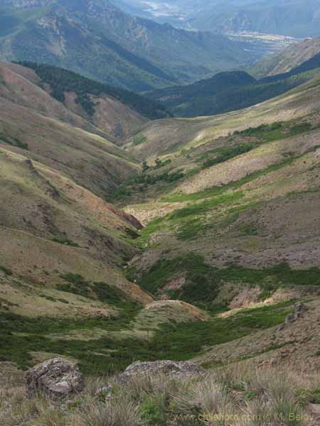 Image of a Chilean landscape