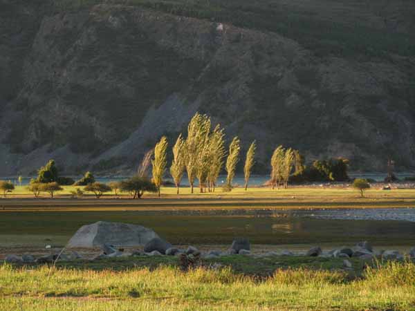 Image of a Chilean landscape