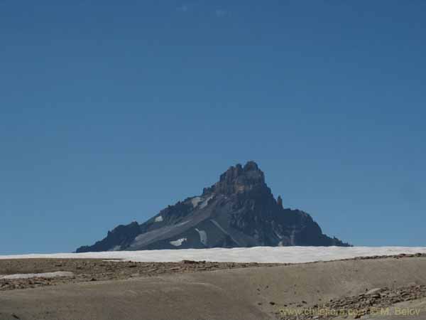 Image of a Chilean landscape