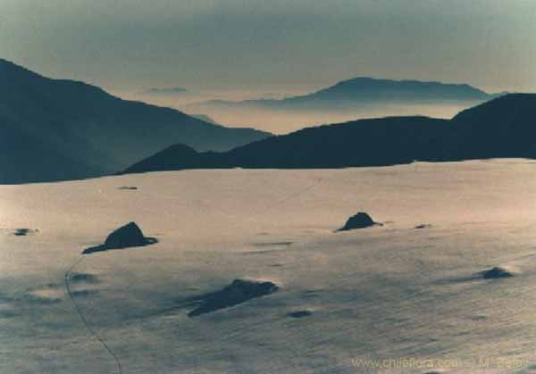 Image of a Chilean landscape