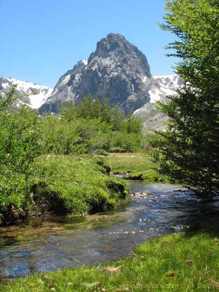 Image of a Chilean landscape