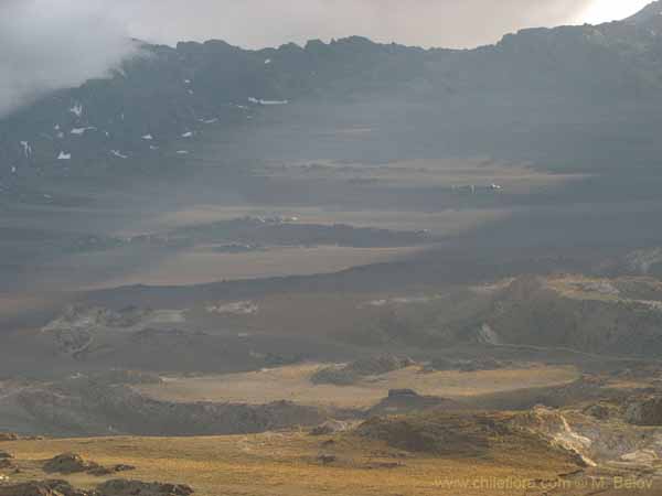 Image of a Chilean landscape
