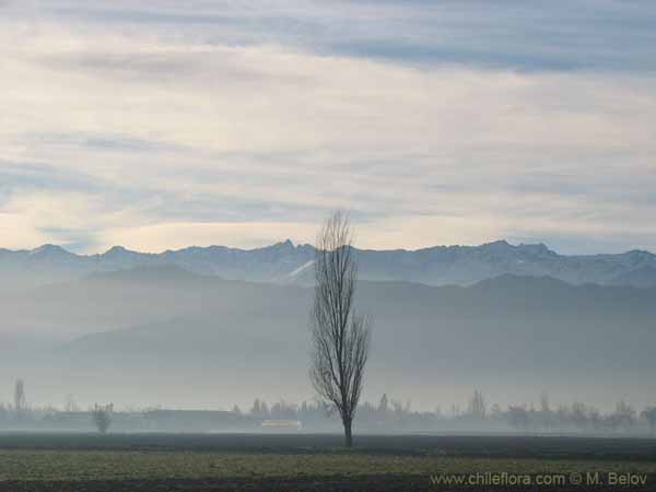 Image of a Chilean landscape