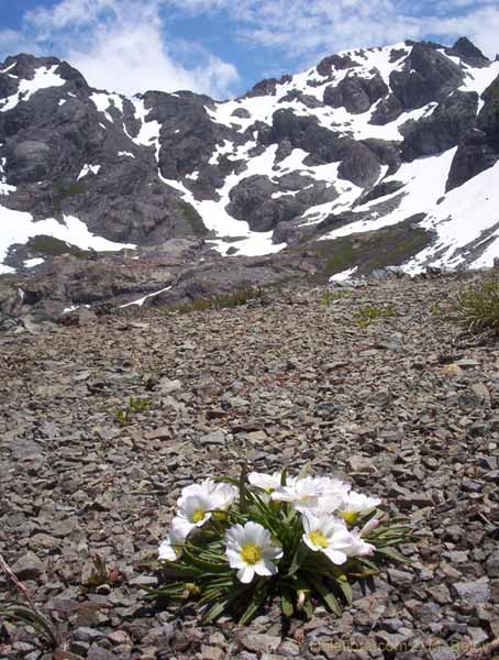 チリの景色の任意写真