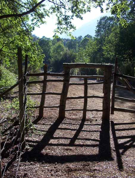 Image of a Chilean landscape