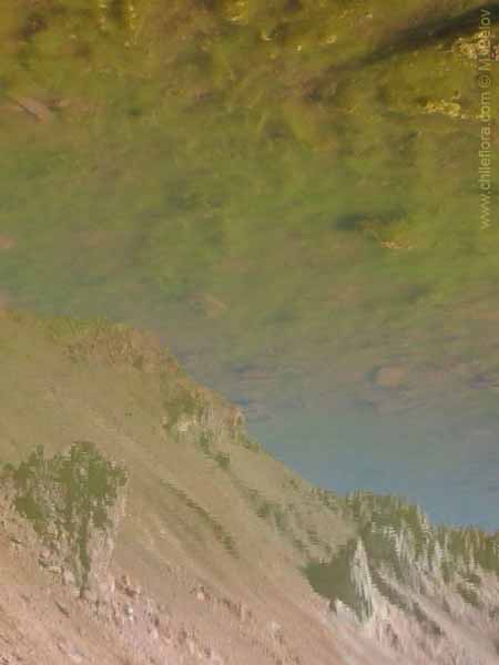 Image of a Chilean landscape