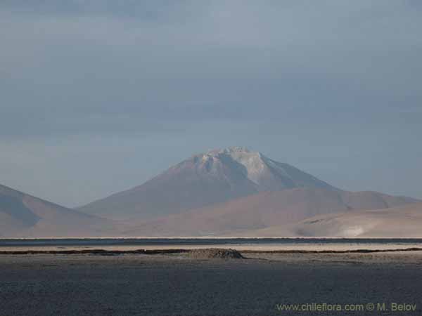 Imagen de paisaje chileno