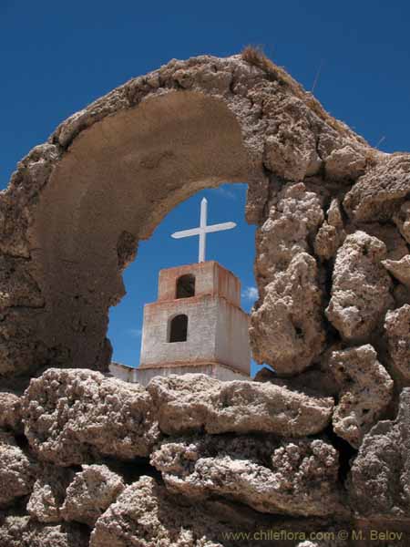 Image of a Chilean landscape