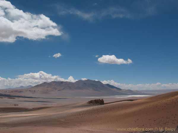 Image of a Chilean landscape