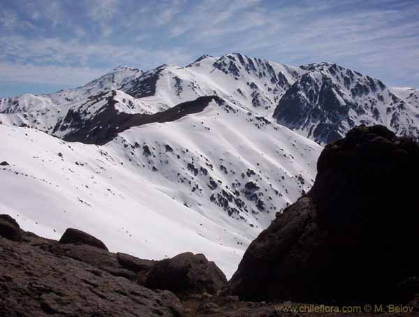 Imagen de paisaje chileno